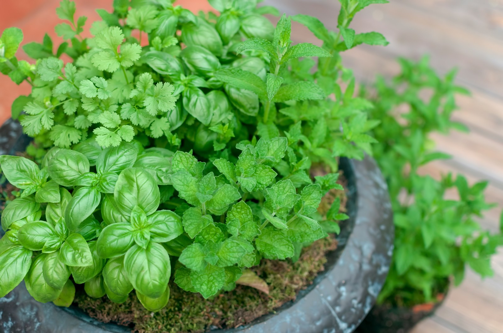 社長からのご挨拶のイメージ